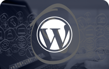 Wordpress Web design services Boston