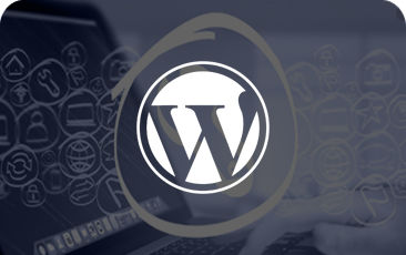 2 Wordpress Web design services Boston